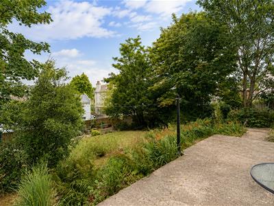 Picture 21